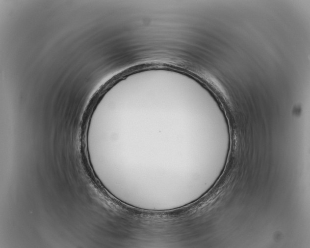 X0000094341020200711091424