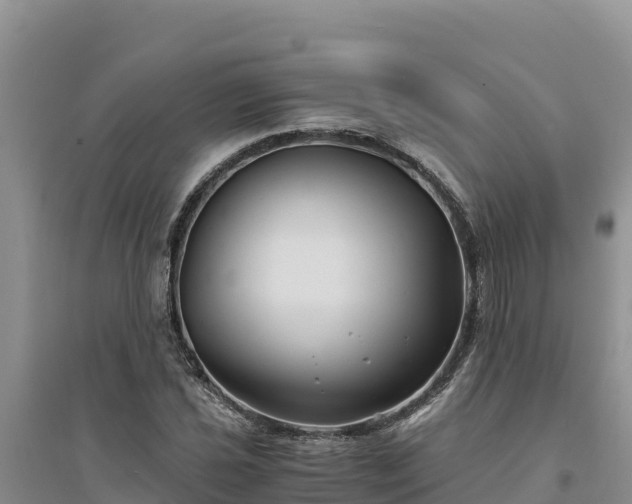 X0000094341021200711091424