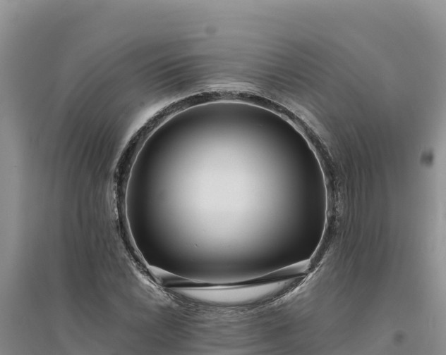 X0000094341022200711091424