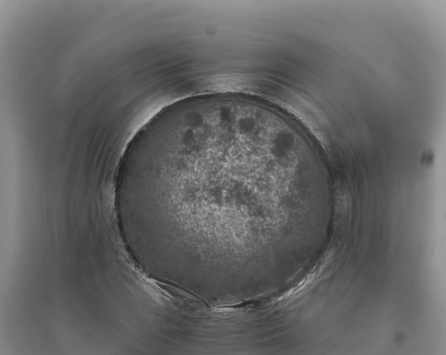 X0000094341023200711091424