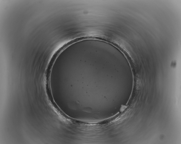 X0000094341024200711091424