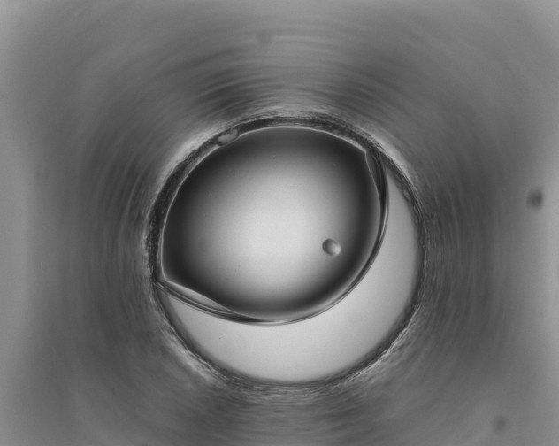 X0000094341026200711091424