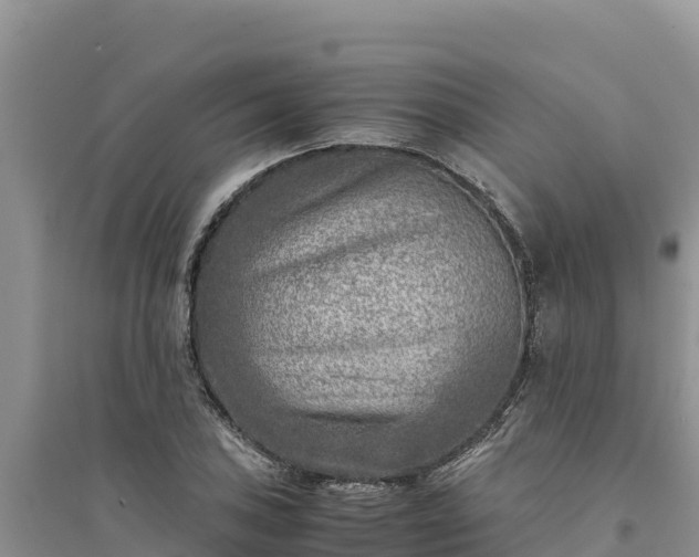 X0000094341027200711091424