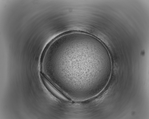 X0000094341028200711091424