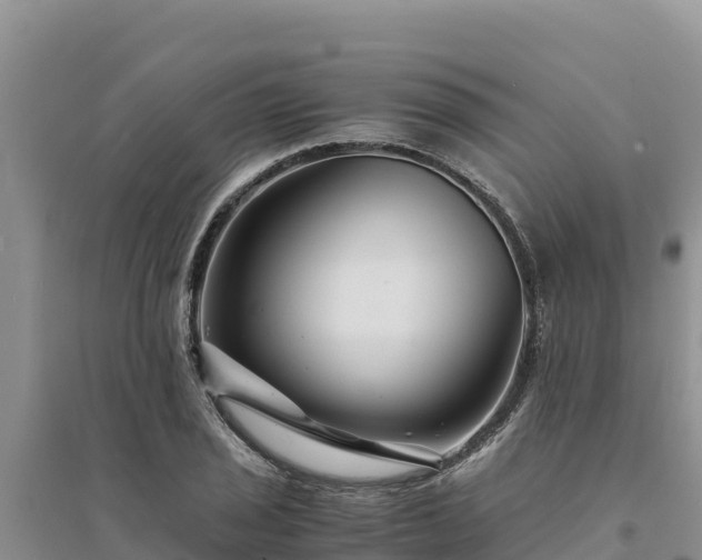 X0000094341029200711091424