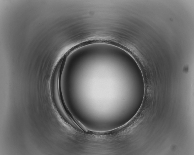 X0000094341030200711091424