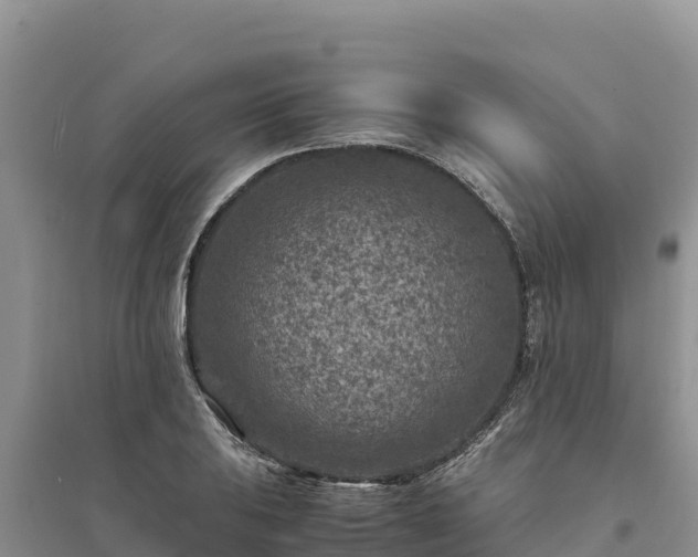 X0000094341031200711091424