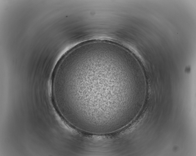 X0000094341032200711091424
