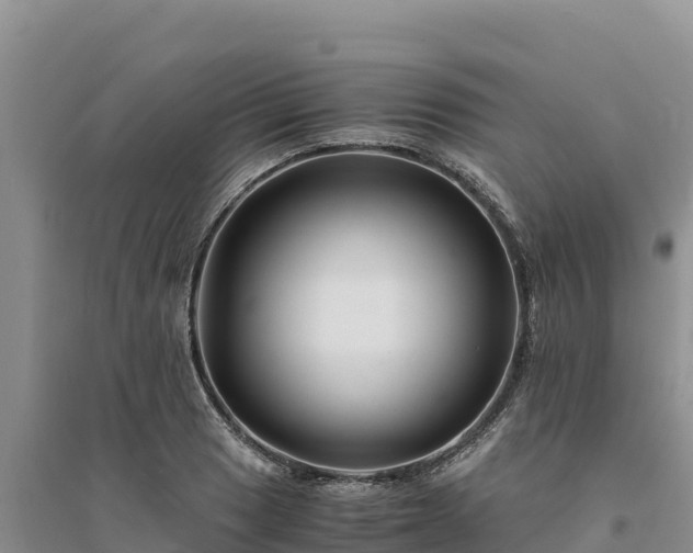 X0000094341033200711091424