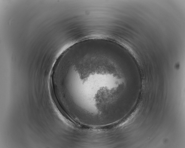 X0000094341034200711091424