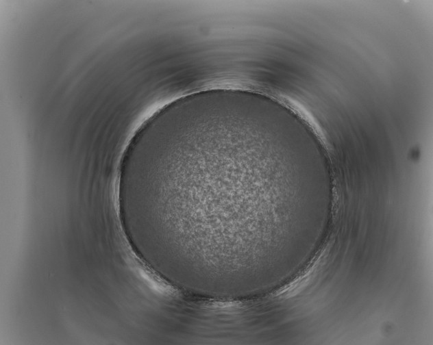 X0000094341035200711091424