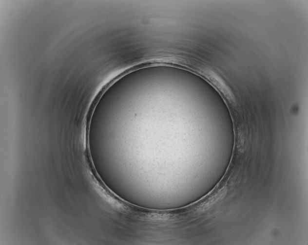 X0000094341036200711091424