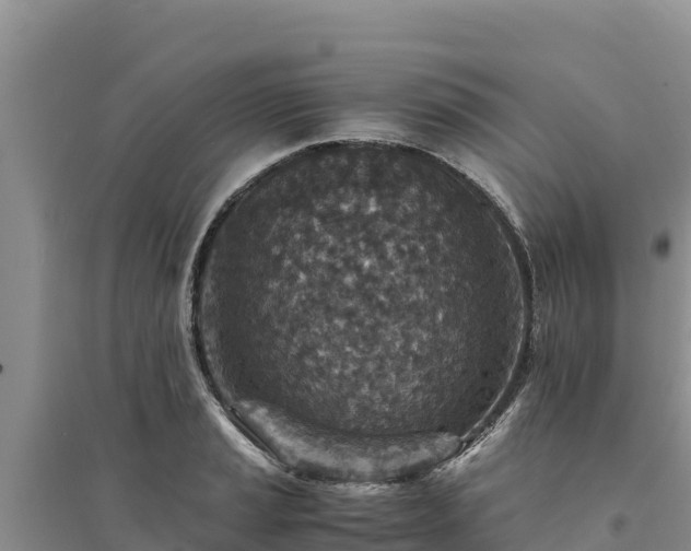 X0000094341037200711091424