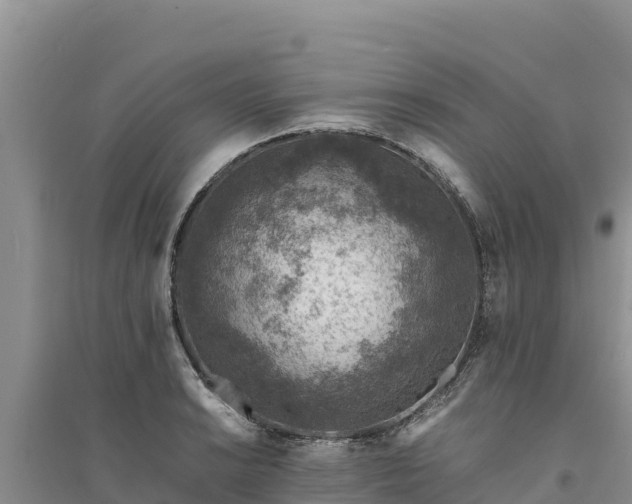 X0000094341038200711091424