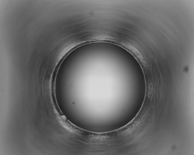 X0000094341039200711091424