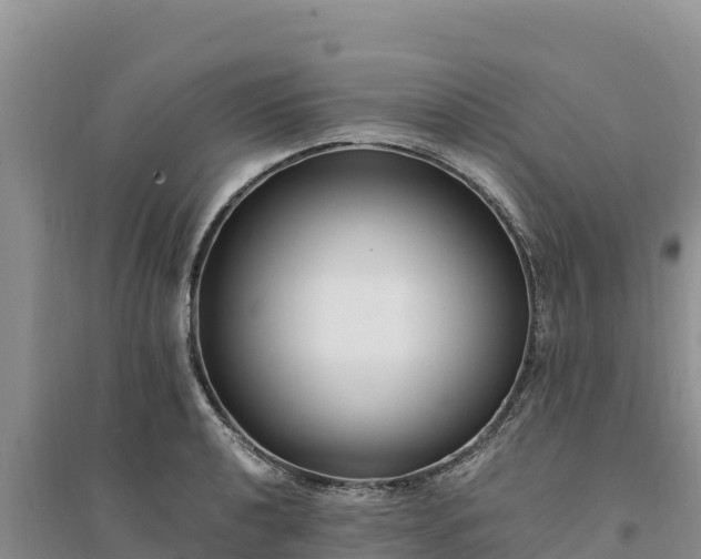 X0000094341040200711091424