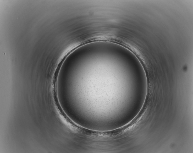 X0000094341042200711091424