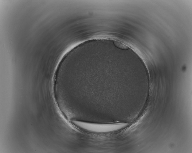 X0000094341045200711091424