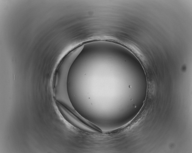 X0000094341046200711091424