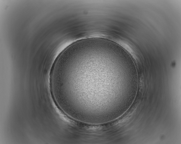 X0000094341047200711091424
