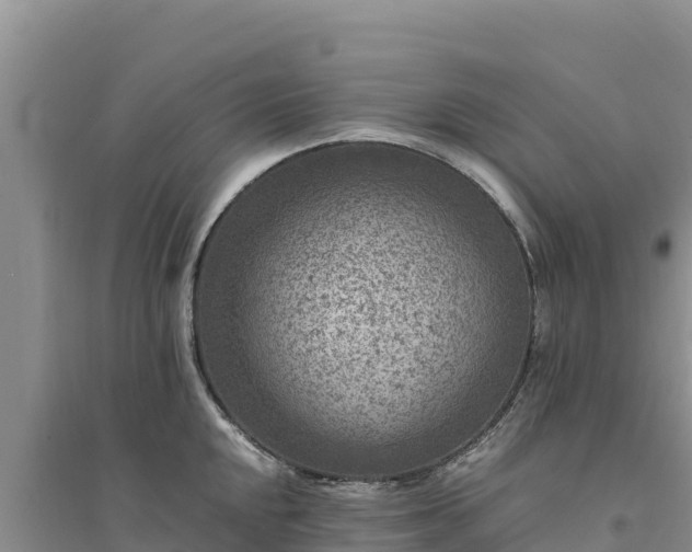 X0000094341048200711091424