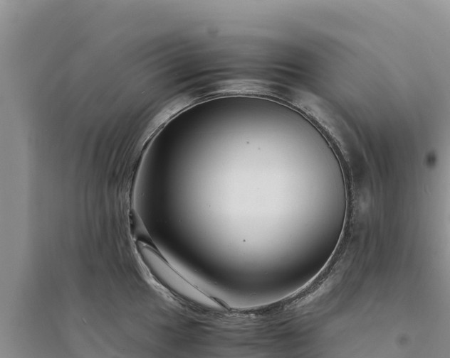 X0000094341049200711091424