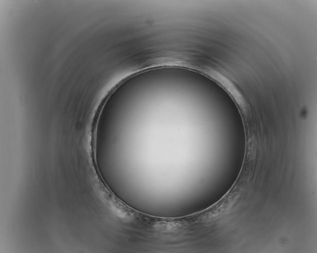 X0000094341051200711091424