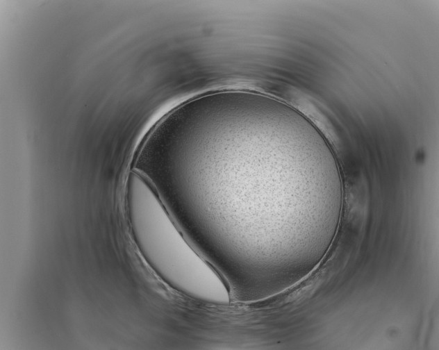 X0000094341052200711091424