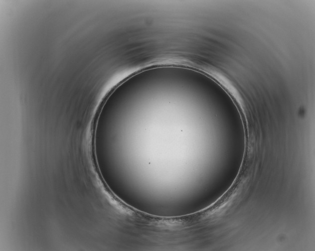 X0000094341053200711091424