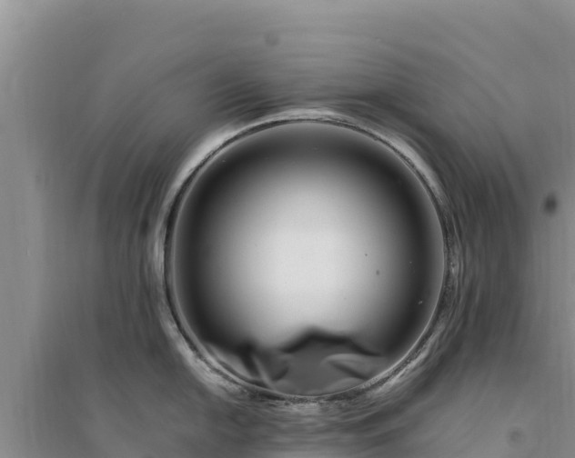 X0000094341054200711091424