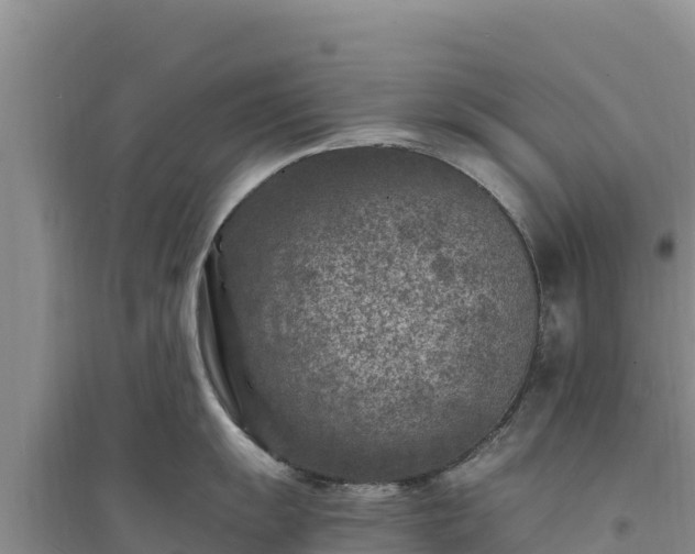 X0000094341055200711091424