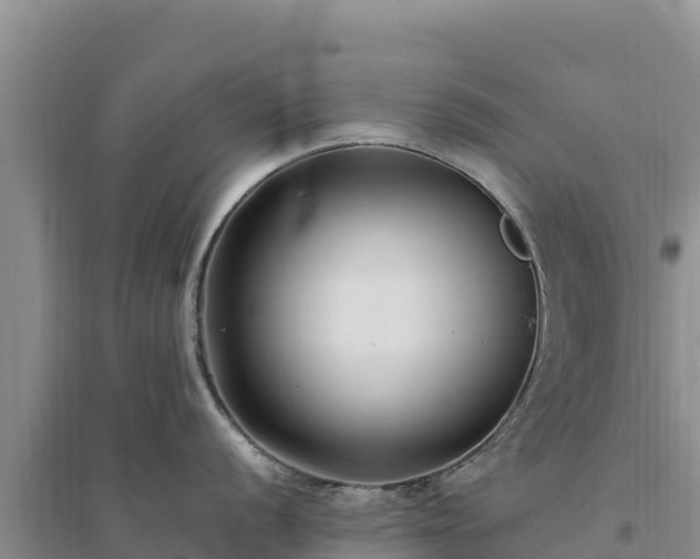 X0000094341056200711091424