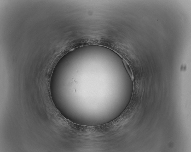 X0000094341057200711091424