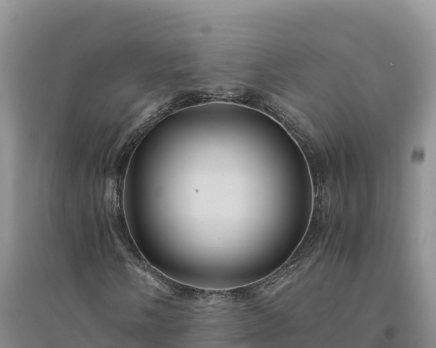 X0000094341058200711091424
