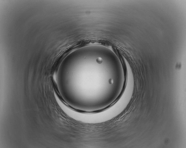 X0000094341059200711091424