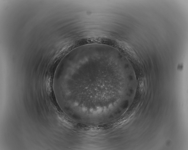 X0000094341060200711091424