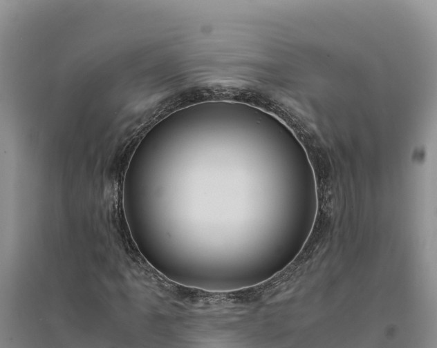 X0000094341061200711091424
