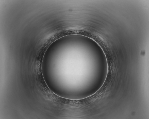 X0000094341062200711091424