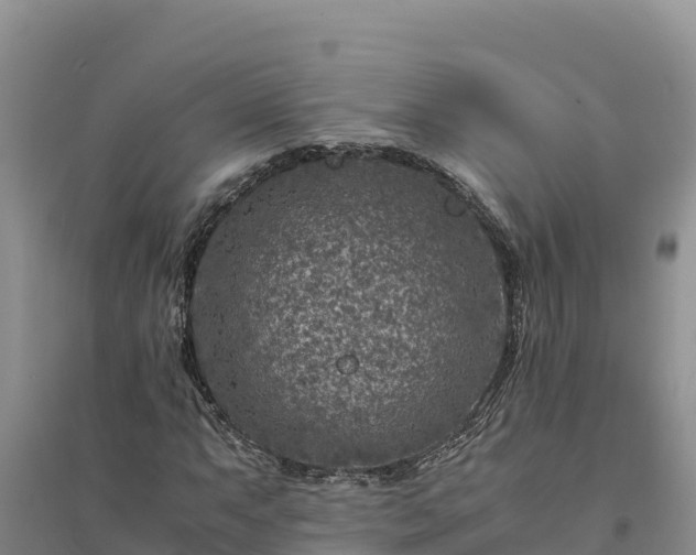 X0000094341063200711091424