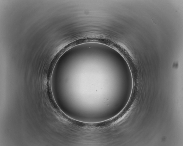 X0000094341065200711091424