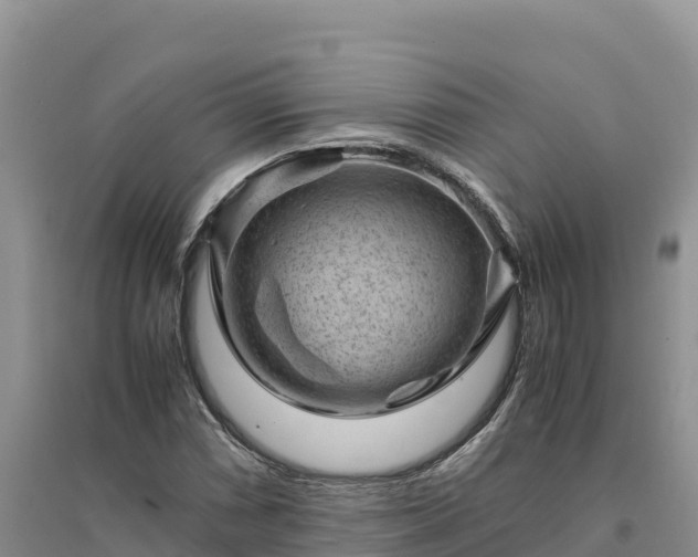 X0000094341066200711091424