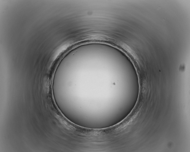 X0000094341067200711091424
