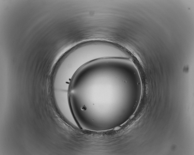 X0000094341069200711091424