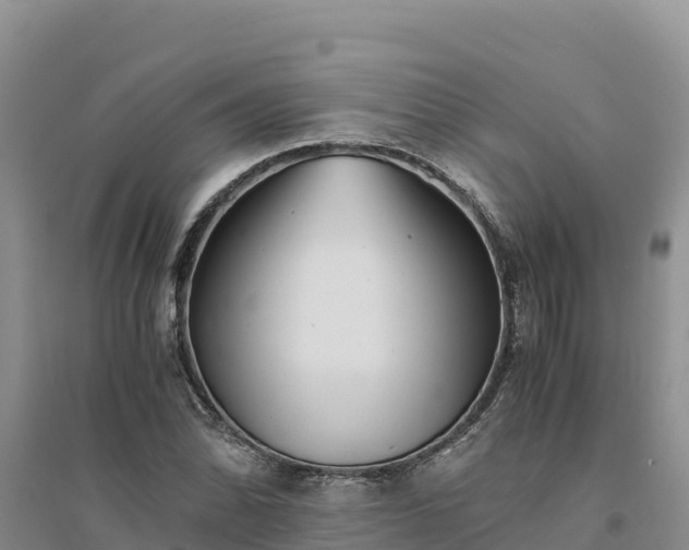 X0000094341070200711091424