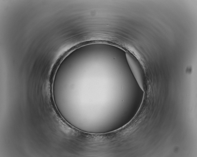 X0000094341072200711091424