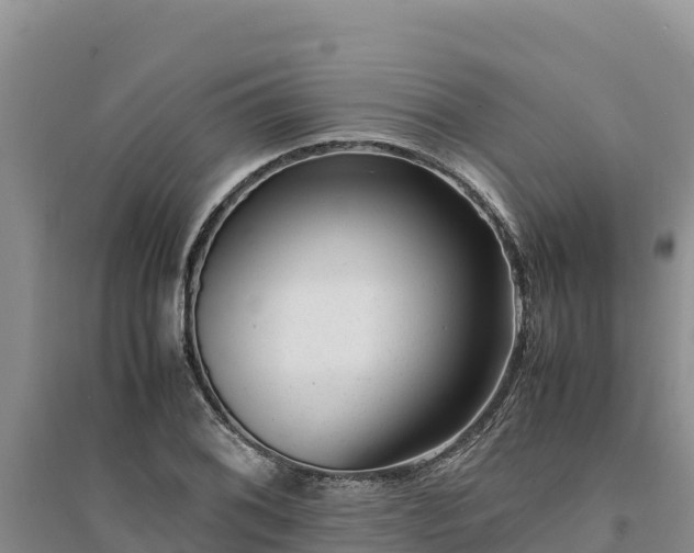 X0000094341076200711091424