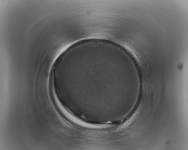 X0000094341077200711091423