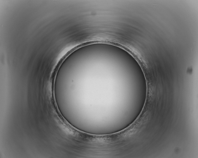 X0000094341078200711091423