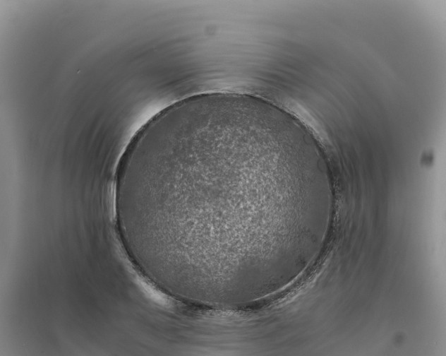 X0000094341079200711091423