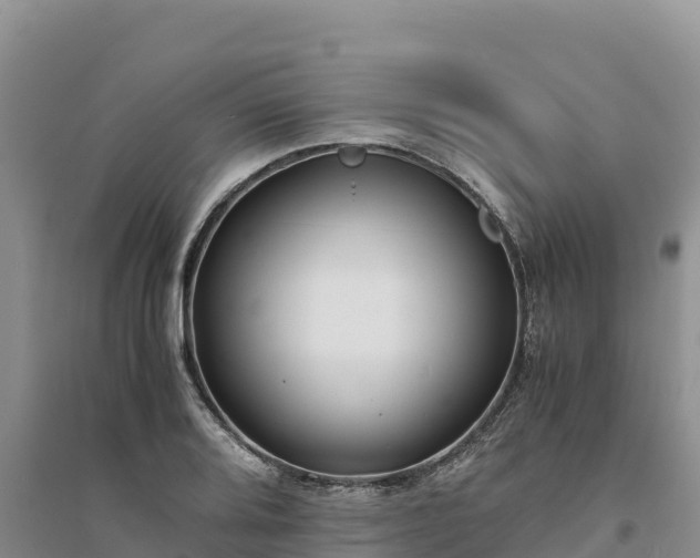 X0000094341080200711091423